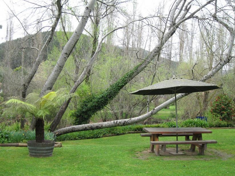 ברייט Riverbank Park Motel מראה חיצוני תמונה
